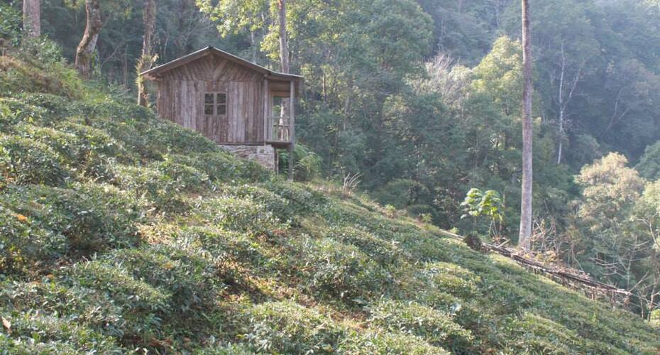 Phamlagang Eco Lodge, Pelling 3